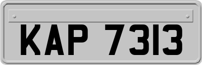 KAP7313