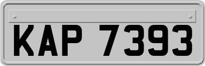 KAP7393