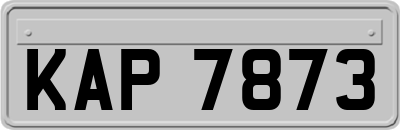 KAP7873