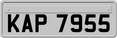 KAP7955