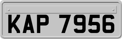 KAP7956
