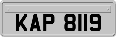 KAP8119