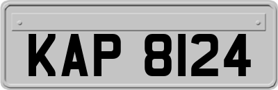 KAP8124