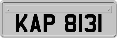 KAP8131