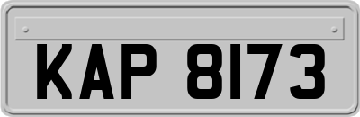 KAP8173