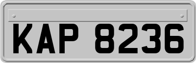 KAP8236