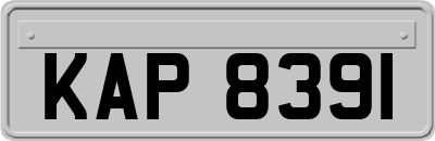 KAP8391