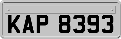 KAP8393