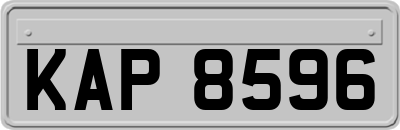 KAP8596