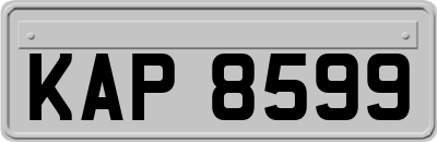 KAP8599