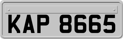 KAP8665