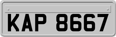KAP8667