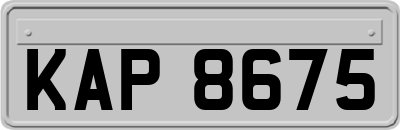 KAP8675