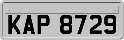 KAP8729