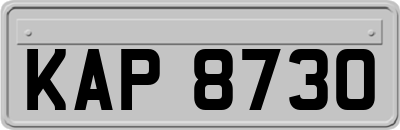 KAP8730