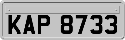 KAP8733