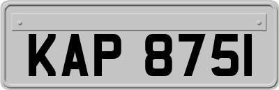 KAP8751