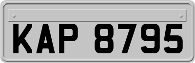 KAP8795