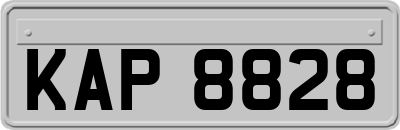 KAP8828