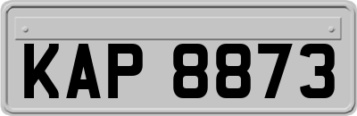KAP8873