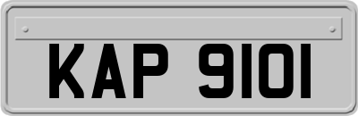KAP9101