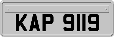 KAP9119