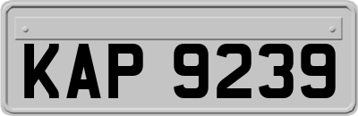 KAP9239