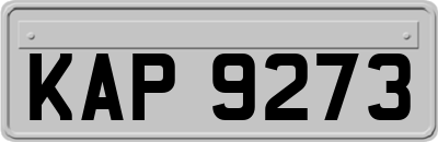 KAP9273