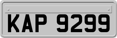 KAP9299