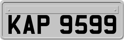 KAP9599
