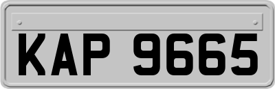 KAP9665