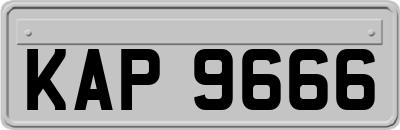 KAP9666