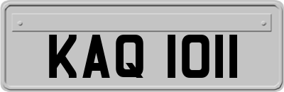 KAQ1011