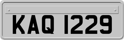 KAQ1229