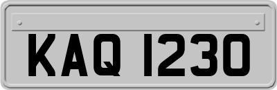 KAQ1230