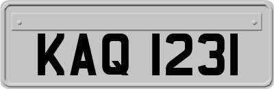 KAQ1231