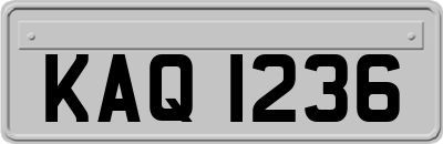 KAQ1236