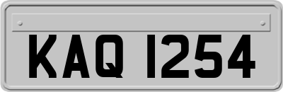 KAQ1254
