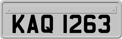 KAQ1263