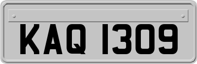 KAQ1309