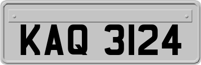 KAQ3124