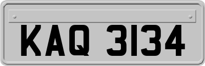 KAQ3134