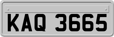 KAQ3665