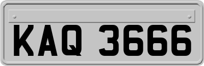 KAQ3666