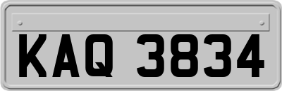 KAQ3834