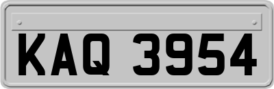 KAQ3954
