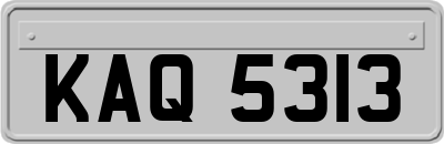 KAQ5313