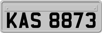 KAS8873
