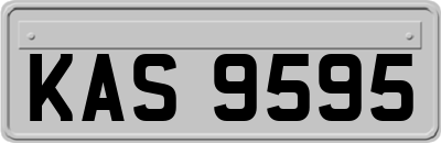 KAS9595