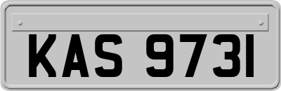 KAS9731